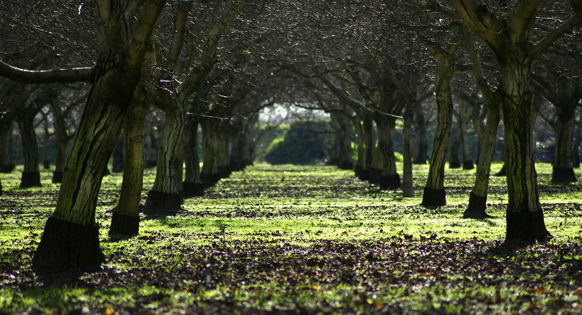 Main Slideshow Image2